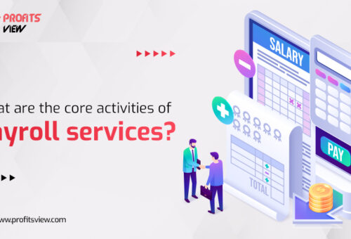 What are the core activities of payroll services?