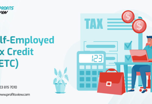 Self-Employed Tax Credit (SETC)