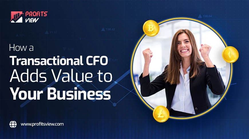 How a Transactional CFO Adds Value to Your Business