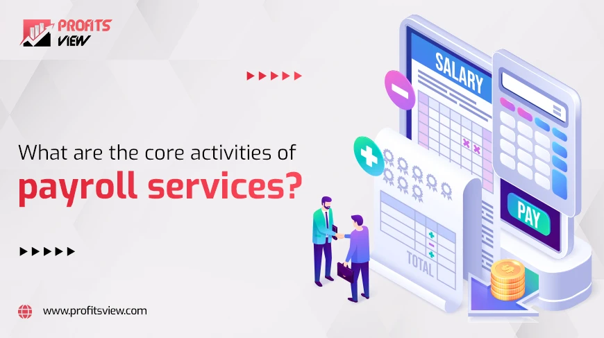 activities of payroll services