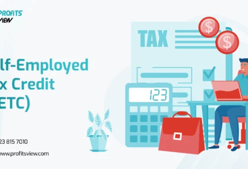 Self-Employed Tax Credit (SETC)